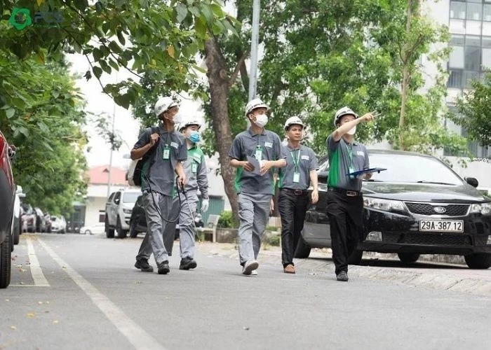 dịch vụ diệt chuột tại Phú Thọ 